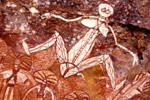 kakadooart
