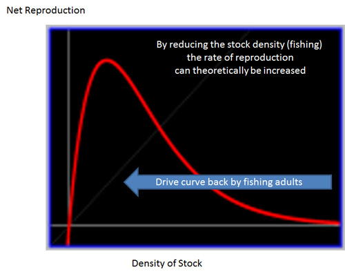 Ricker-curve