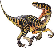 Velociraptor